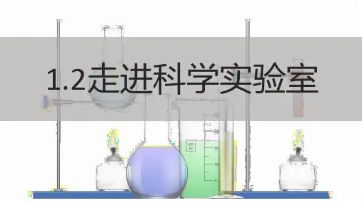 走进科学实验室(课件14张)