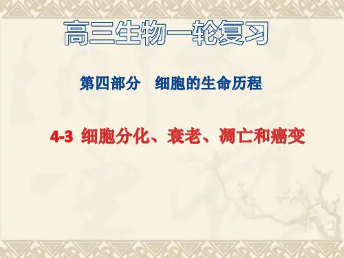 细胞分化、衰老、凋亡和癌变