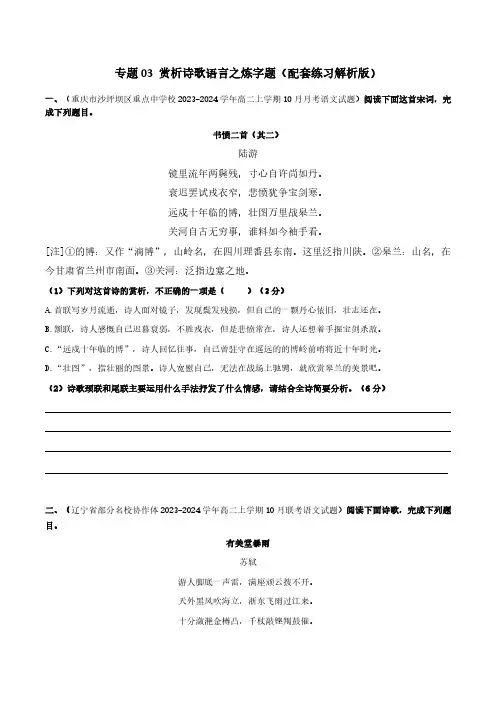 专题03 赏析诗歌语言之炼句题(配套练习原卷版)