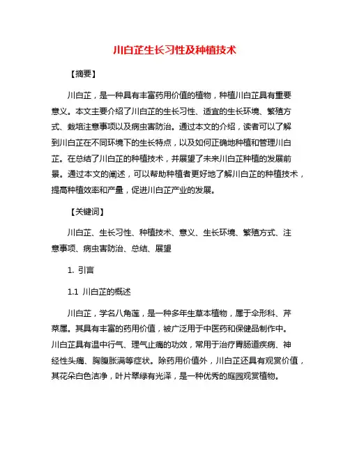 川白芷生长习性及种植技术