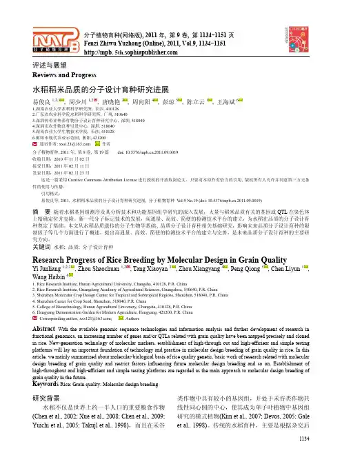 水稻稻米品质的分子设计育种研究进展