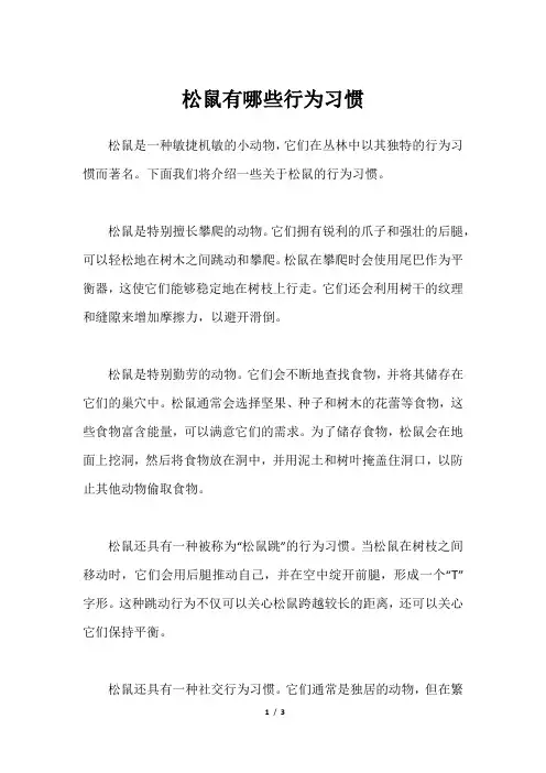 松鼠有哪些行为习惯