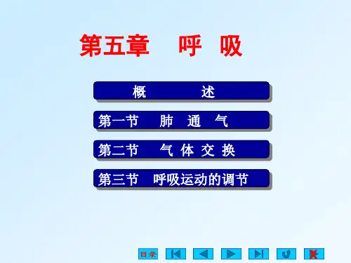 呼吸