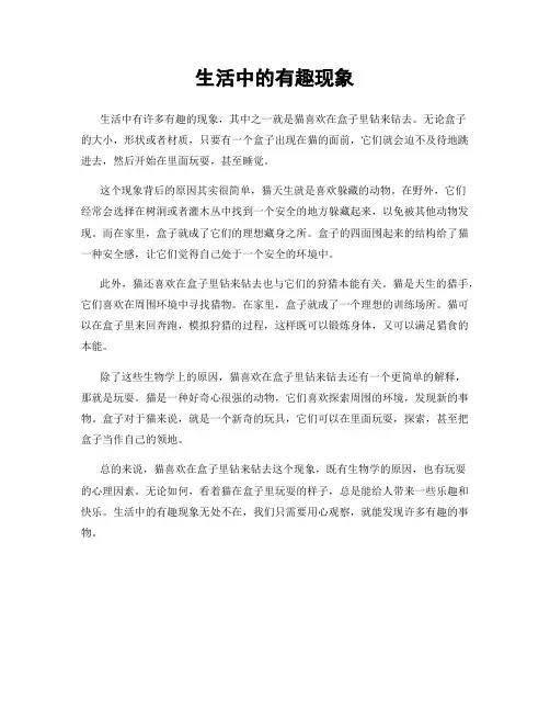 生活中的有趣现象