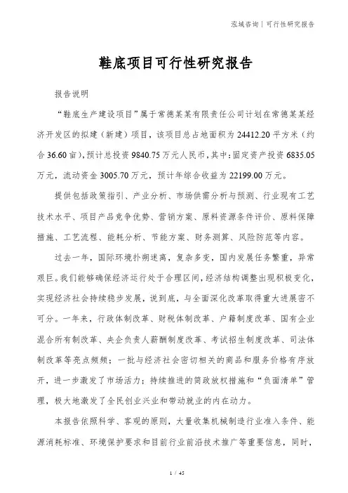 鞋底项目可行性研究报告
