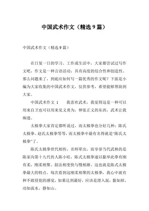 中国武术作文(精选9篇)