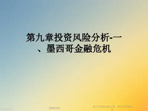 第九章投资风险分析一墨西哥金融危机