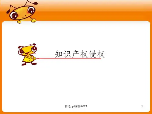 知识产权侵权维权培训ppt课件