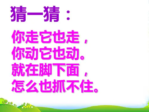 二年级美术上册 影子大王课件 湘美