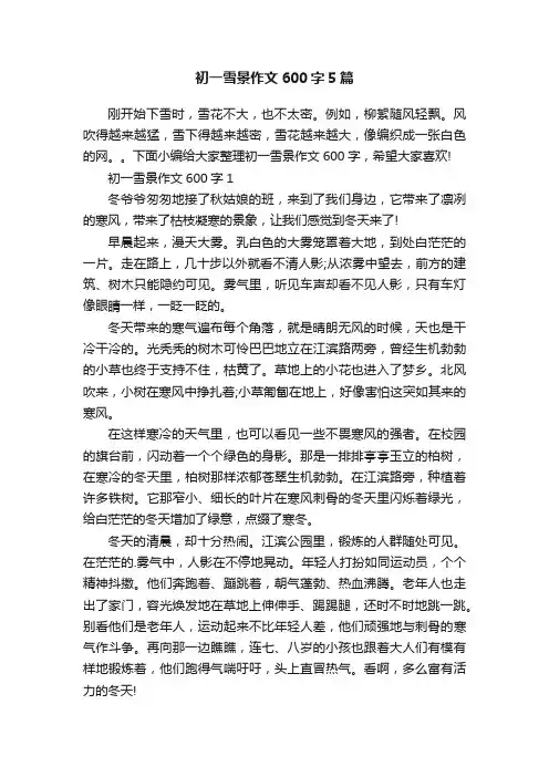 初一雪景作文600字5篇