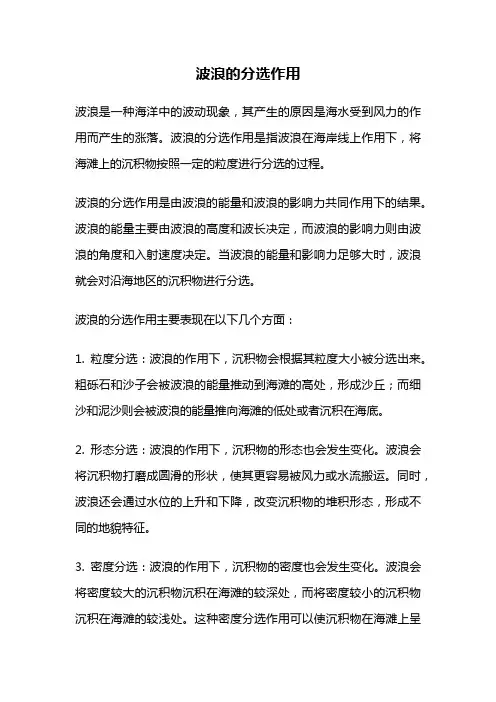 波浪的分选作用