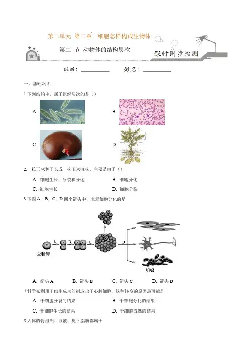 专题2.2.2 动物体的结构层次(原卷板)