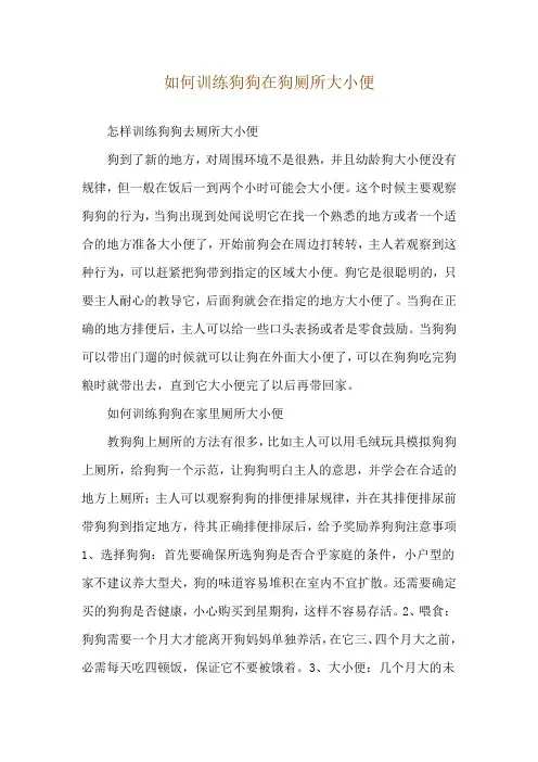 如何训练狗狗在狗厕所大小便