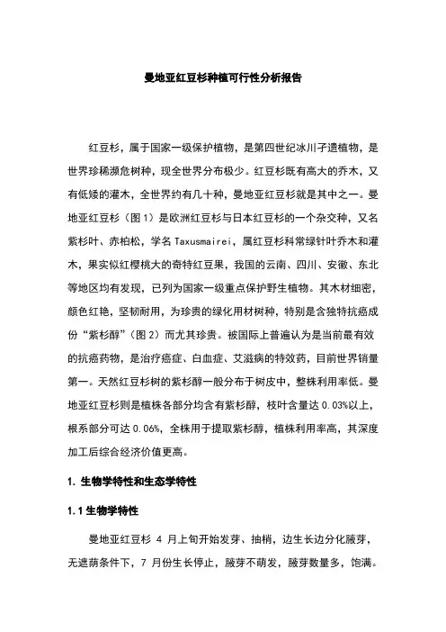 红豆杉种植建设可行性研究报告