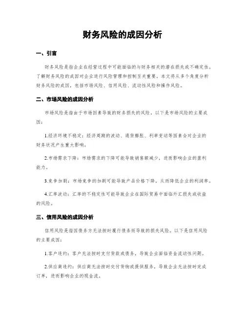 财务风险的成因分析