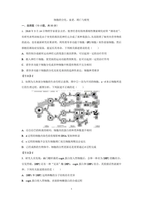 2019年高考生物一轮复习知识点练习卷：细胞的分化、衰老、凋亡与癌变