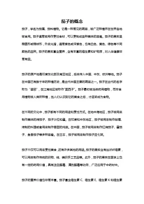 茄子的概念