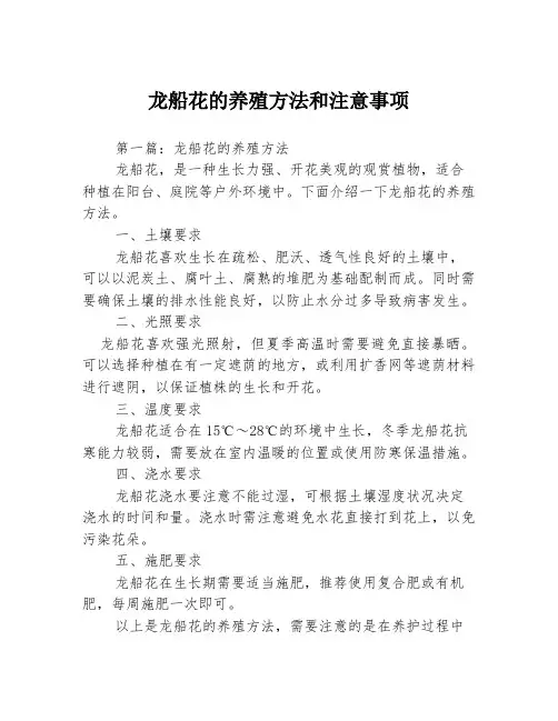 龙船花的养殖方法和注意事项