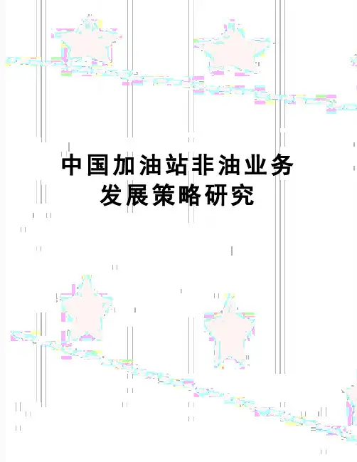 【精品】中国加油站非油业务发展策略研究