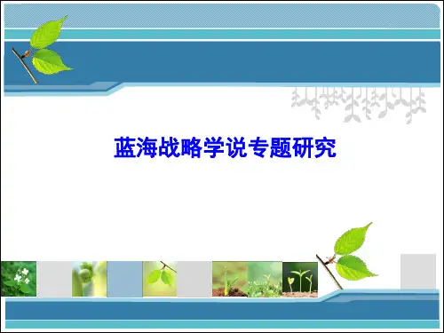 战略管理专题研究 (2)