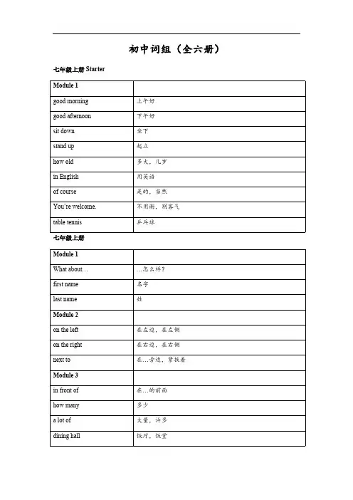 外研社英语初中词组(全六册)(完美版)