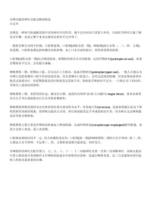 吞咽功能的神经支配及解剖构造