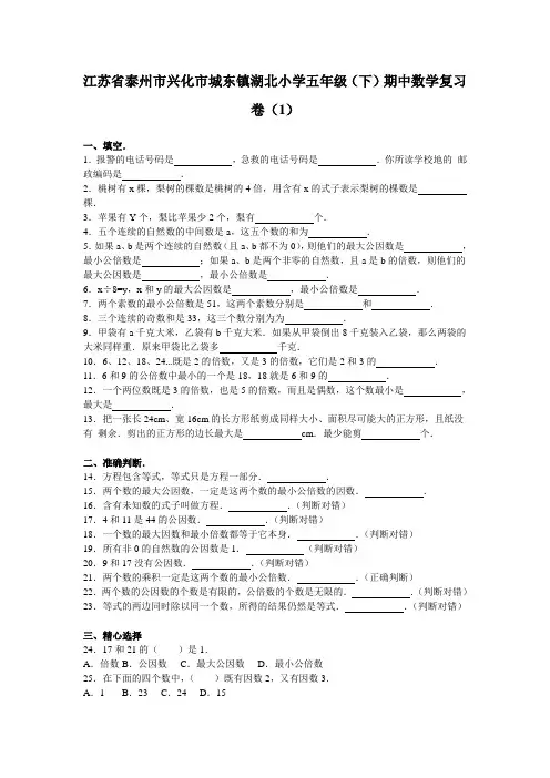 新苏教版数学五年级下册期中试卷5套(新版)