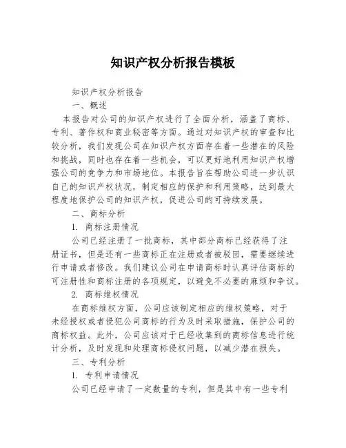 知识产权分析报告模板
