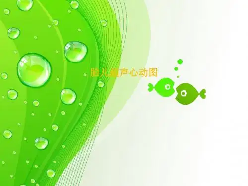 胎儿超声心动图