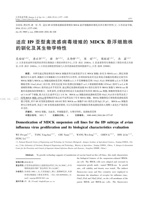 适应H9亚型禽流感病毒增殖的MDCK悬浮细胞株的驯化及其生物学特性