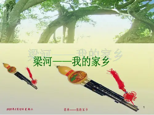 梁河——我的家乡
