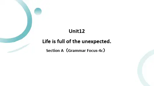 Unit12SectionA(GrammarFocus4c)语法课教学课件人教版英语九年级全册