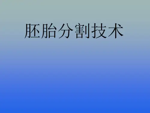 胚胎分割技术PPT课件