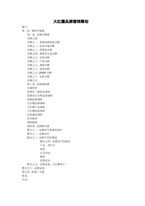 大红鹰品牌营销策划1