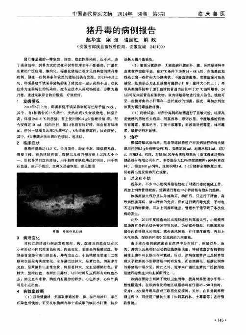 猪丹毒的病例报告