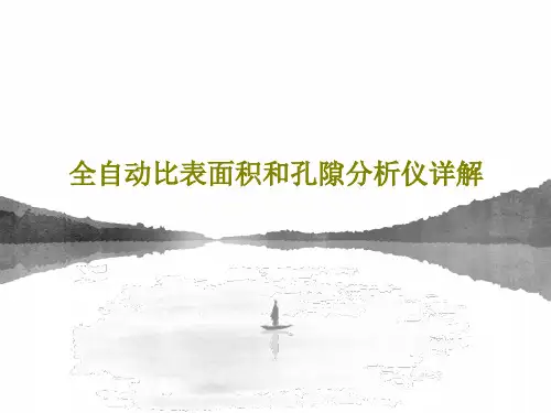 全自动比表面积和孔隙分析仪详解73页PPT