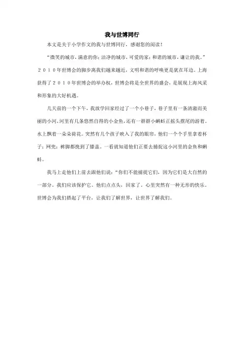 我与世博同行_小学作文_2