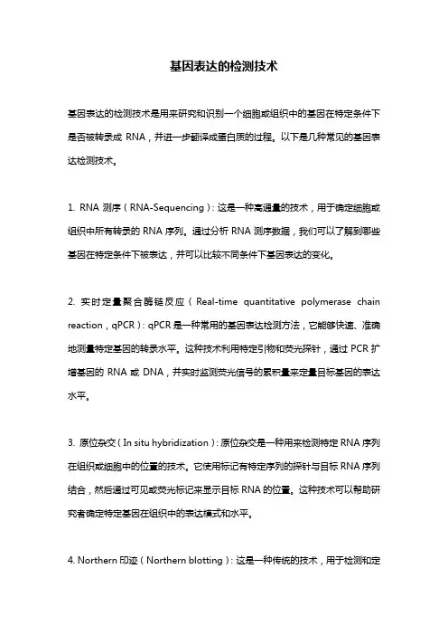 基因表达的检测技术