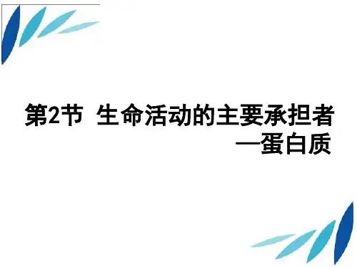 (人教必修一) 2.2 生命活动的主要承担者—蛋白质  课件