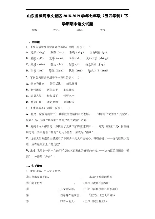 山东省威海市文登区2020至2021学年七年级(五四学制)下学期期末语文试题