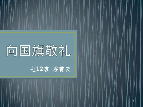 国歌法ppt课件