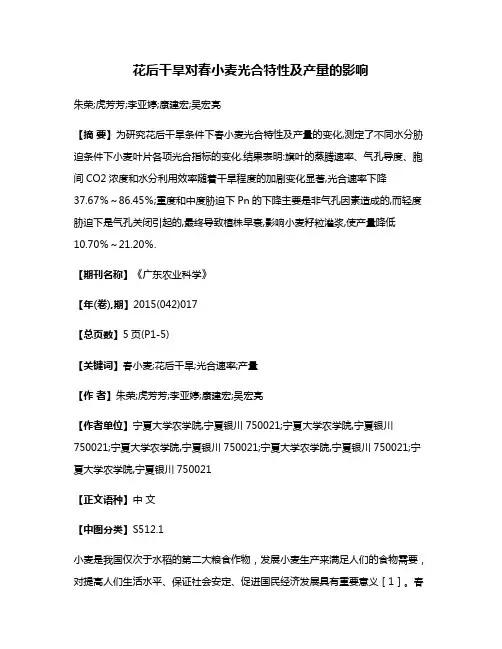 花后干旱对春小麦光合特性及产量的影响