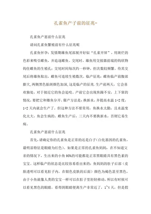 孔雀鱼产子前的征兆--孔雀鱼产崽前什么征兆