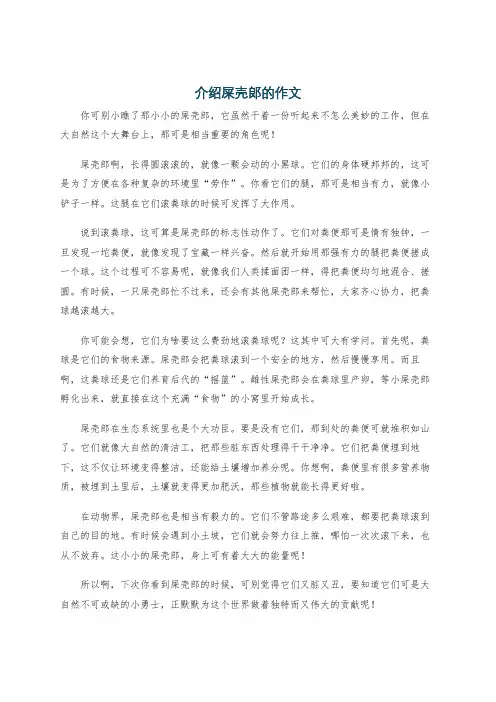 介绍屎壳郎的作文