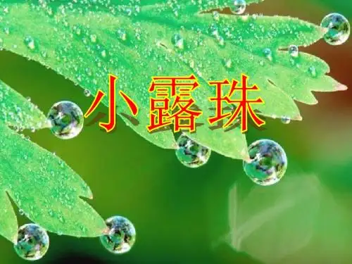 二年级语文下册第二单元第6课《小露珠》教学 PPT精品课件1冀教版