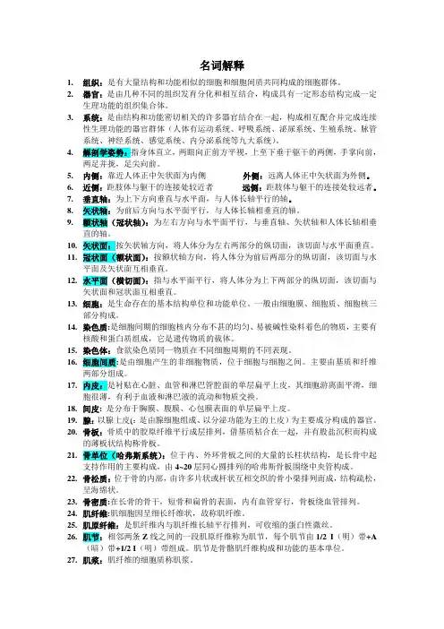 解剖10版名词解释