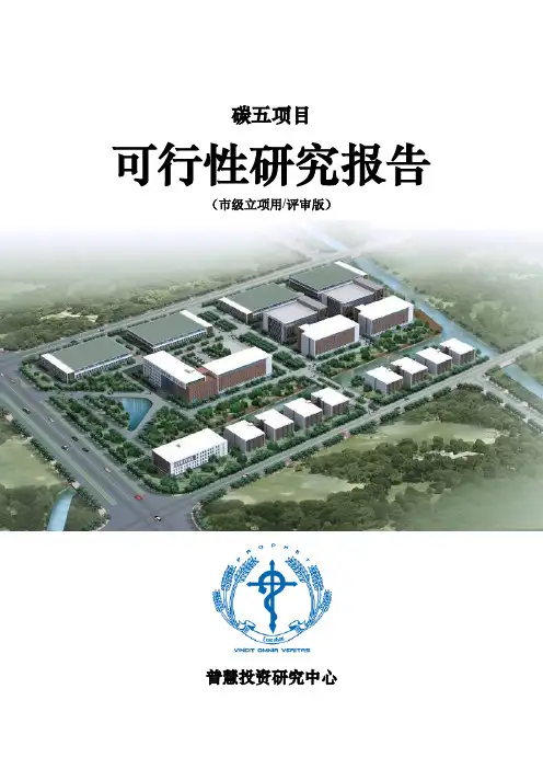 碳五项目可行性研究报告市级立项用(评审版)