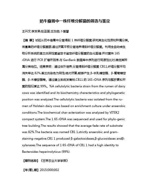 奶牛瘤胃中一株纤维分解菌的筛选与鉴定