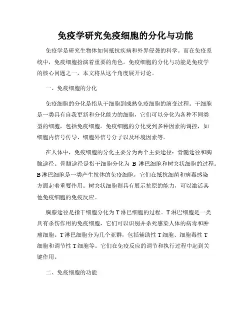 免疫学研究免疫细胞的分化与功能