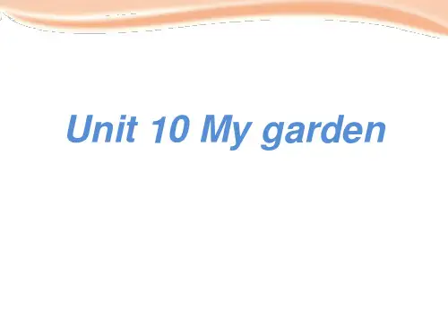 《My garden》PPT-上海教育版四年级英语下册